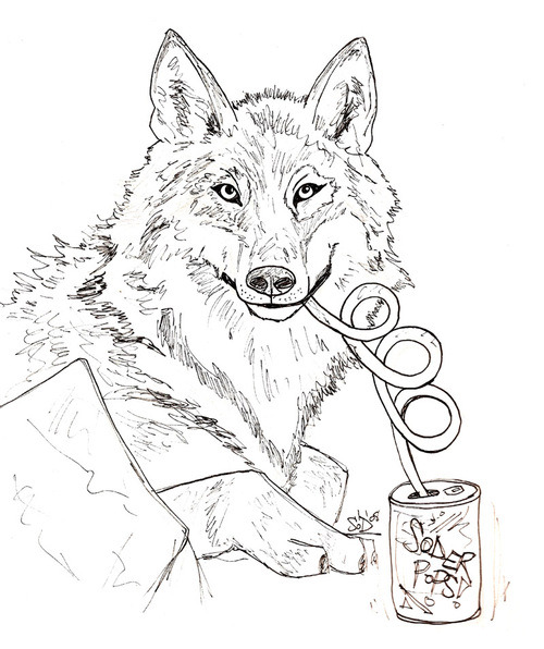 Soda Wolf - pencil and ink -Stephanie