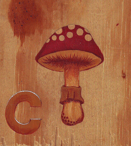 This mushroom is part of a series of six. I hope you all like it! I love to paint! Check out my photos and art at http://flicckr.com/photos/jesijean
