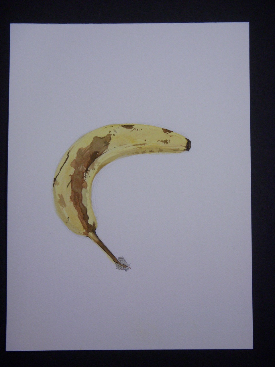 Watercolor. Mean to be turned to the right, but whateve’s. Banana’s are awesome. I ate the model after our session was over. It was delicious. - Jillian Stiles