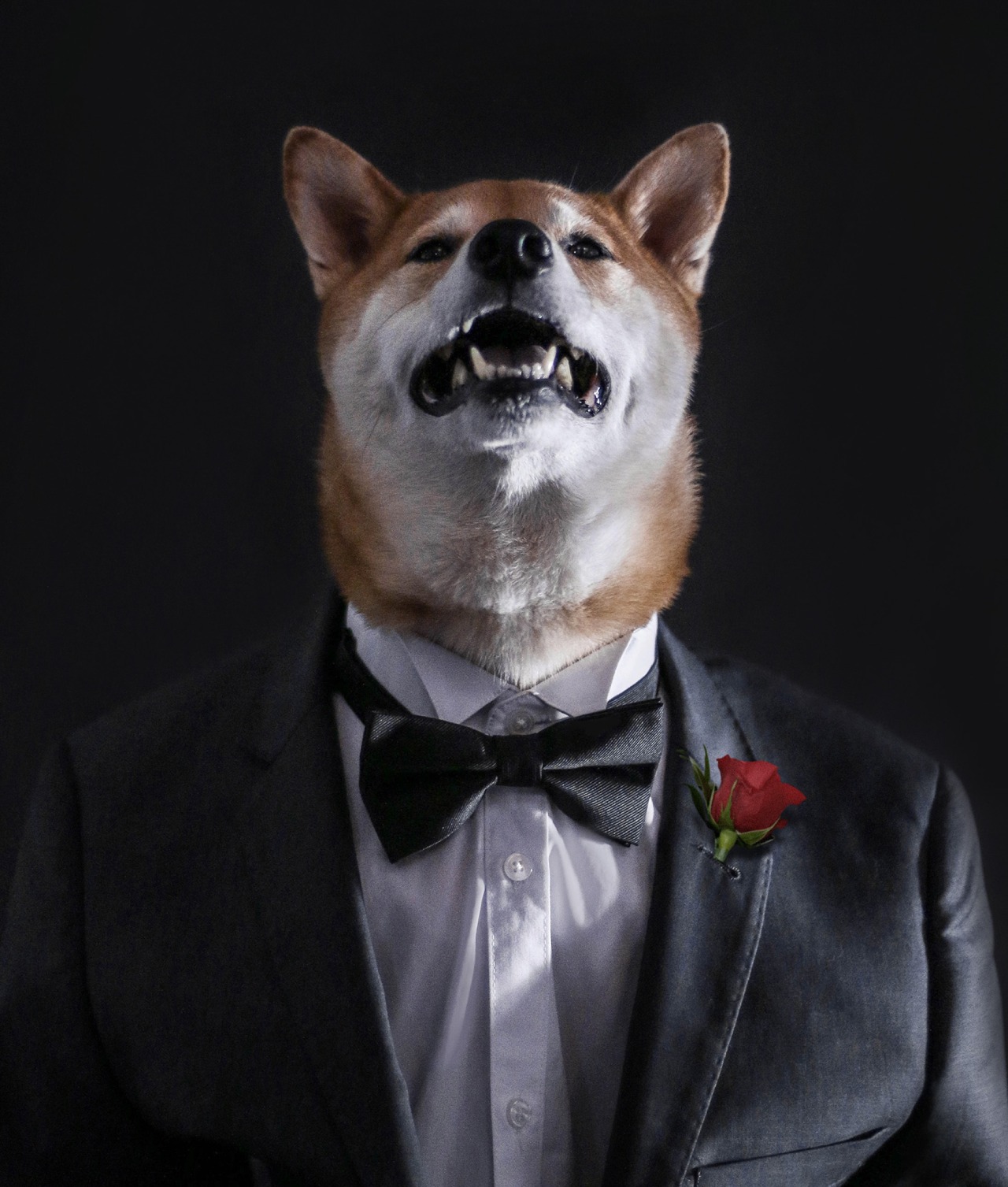 mensweardog:
“ The Dogfather 🌹
”
I’m a man.
No a wolf.
I have feelings.
I roam the night.
I hunger for her.
I walk on all four.
I need her love.
I yearn for freedom.
I am man.
I will win her love.
THE DEAD...