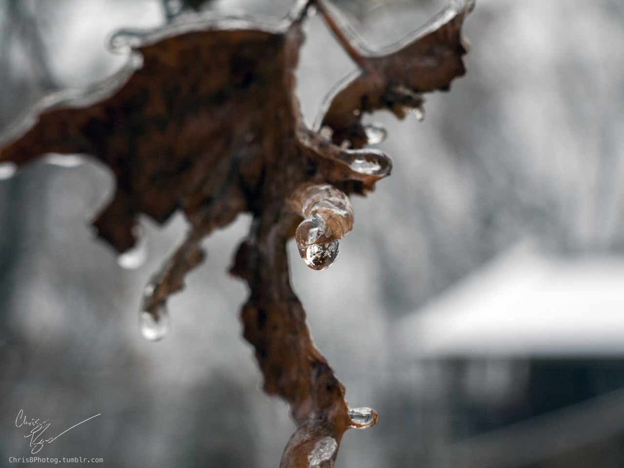 Freezing rain is pretty. But it does cause problems