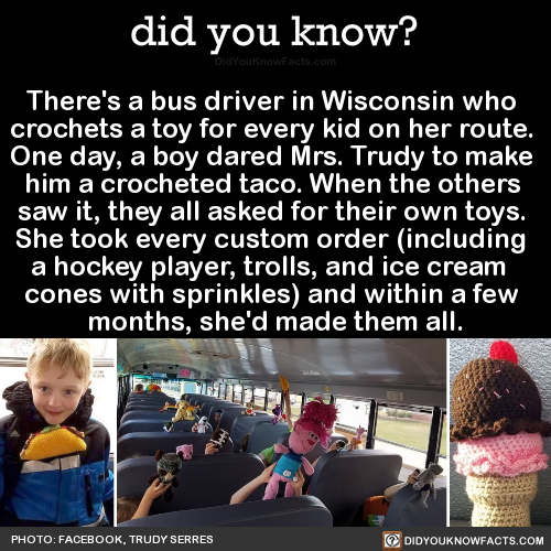 theres-a-bus-driver-in-wisconsin-who-crochets-a