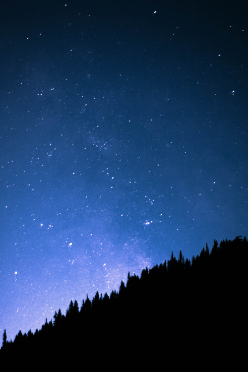starry summer night | Tumblr