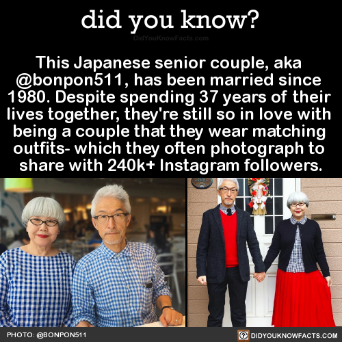 this-japanese-senior-couple-aka-bonpon511-has