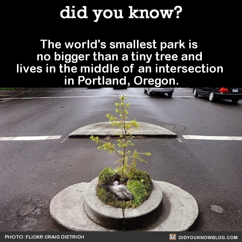 the-worlds-smallest-park-is-no-bigger-than-a-tiny