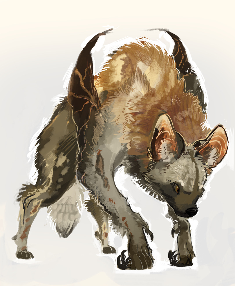 Pin by Kim Gammell on AC Mage Painting fur, Creature