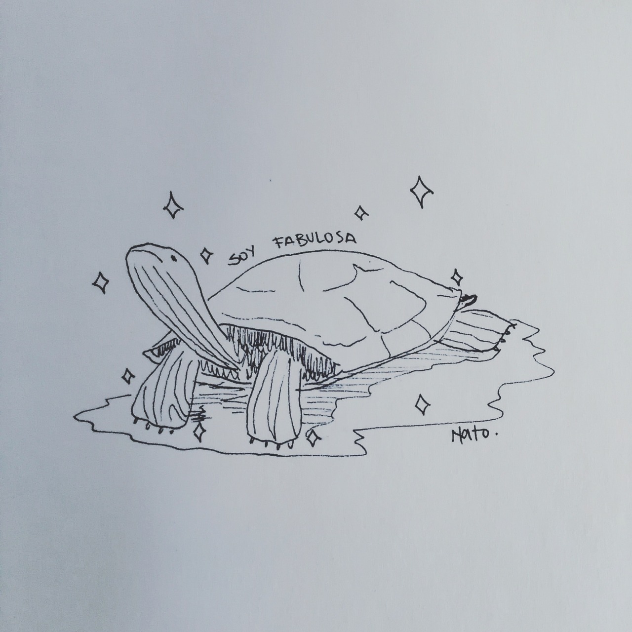 “i’m so fabulous” - Zen my turtle. Ink on paper Facebook / Instagram
