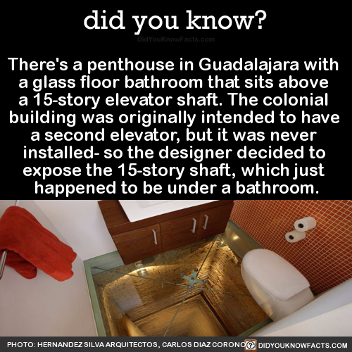 theres-a-penthouse-in-guadalajara-with-a-glass