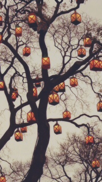 fall backgrounds | Tumblr
