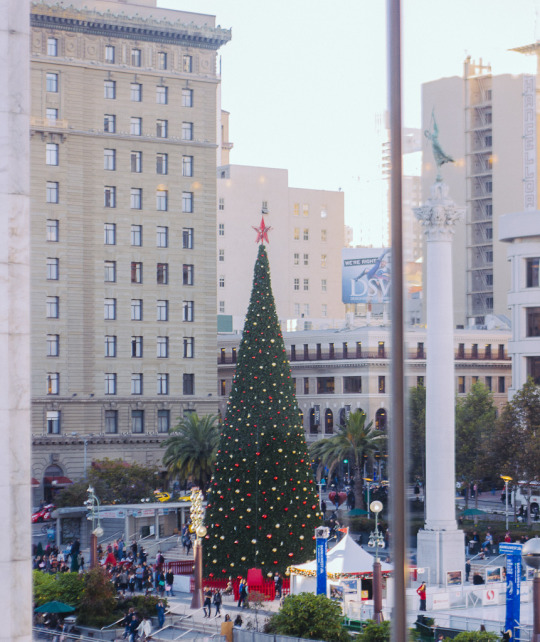 Christmas Tree at Union Square, San Francisco