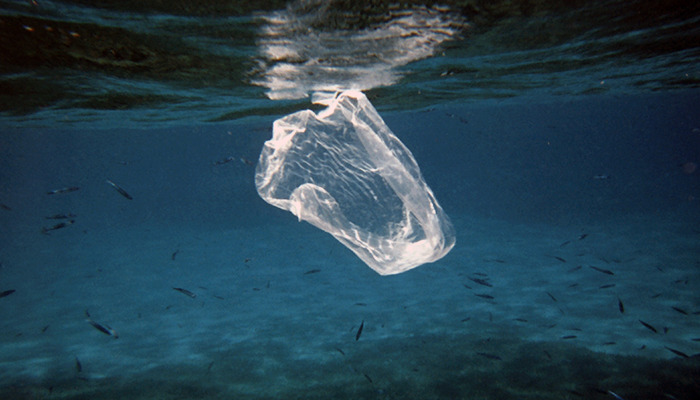 2050 yılında denizlerde balıktan ağır plastik olacak