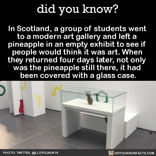 in-scotland-a-group-of-students-went-to-a-modern