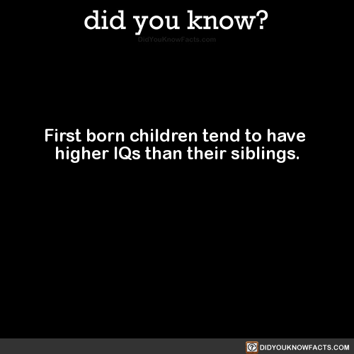 first-born-children-tend-to-have-higher-iqs-than