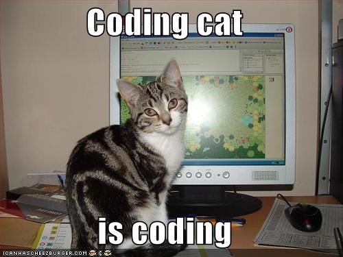 Coding cat