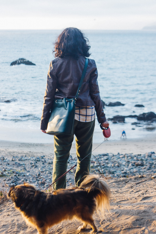 Mile Rock Beach is a secret beach in San Francisco that allows dogs