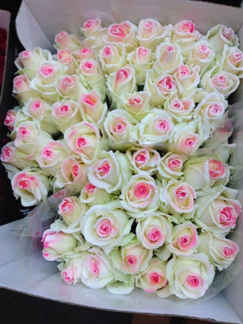 white rose bouquet | Tumblr