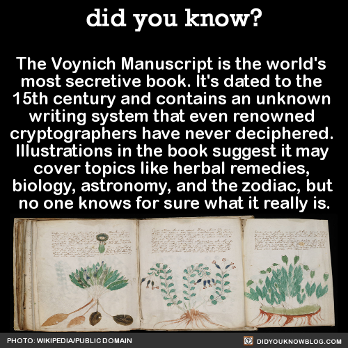 did-you-kno-the-voynich-manuscript-is-the