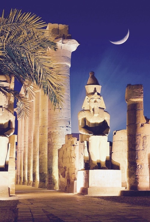 Egypt / Ancient Egypt Wallpapers Backgrounds : Tripadvisor has 1,750,591 reviews of egypt hotels, attractions, and restaurants making it your best egypt resource.