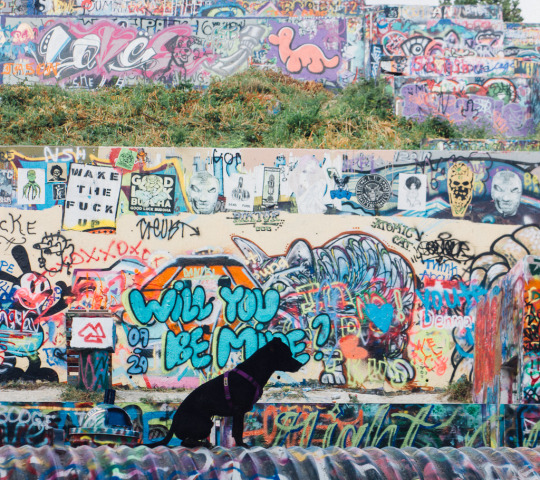 murals of Austin, graffiti park, street art in Austin