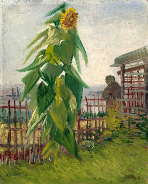 igormaglica:
“ Vincent van Gogh (1853-1890), Állotment with Sunflower, 1887.
oil on canvas, 42.5 x 35.5 cm
”