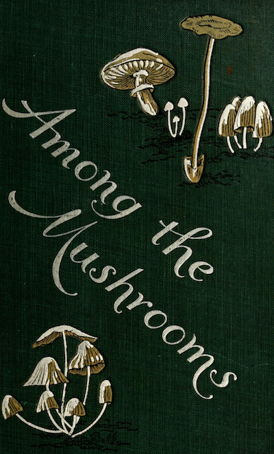 nemfrog: “Among the mushrooms. 1900. Book cover. ”