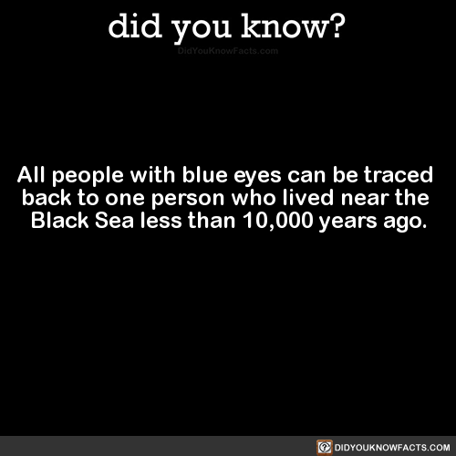 all-people-with-blue-eyes-can-be-traced-back-to