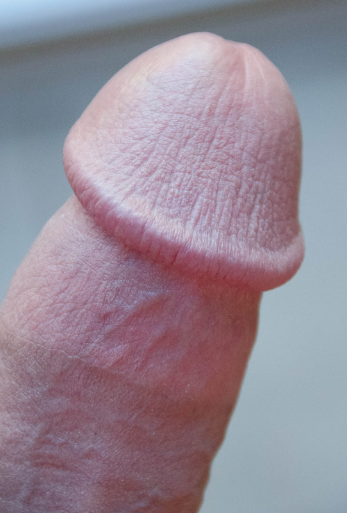 Free Cock Up Close Pictures 119