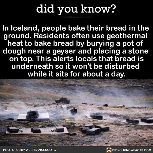 in-iceland-people-bake-their-bread-in-the