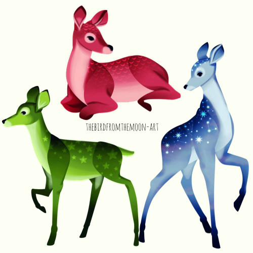 baby deer on Tumblr