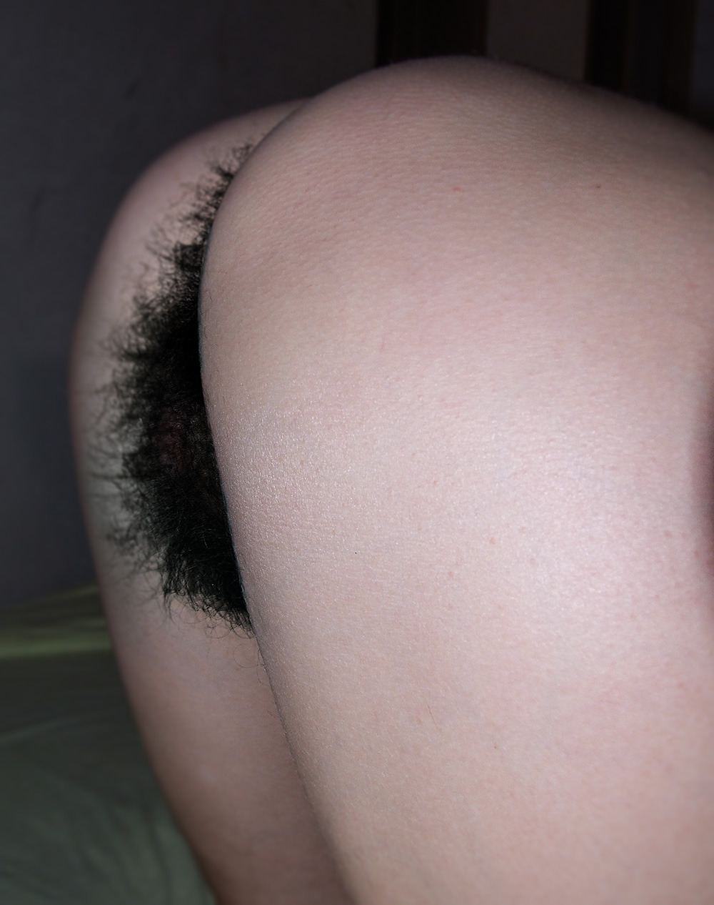 Pictures Of Hairy Vaginas 74