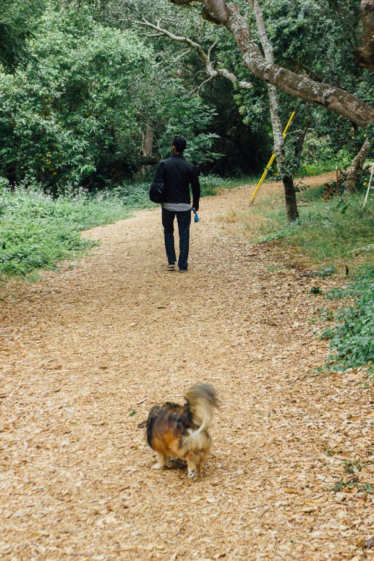 dog friendly hiking trails in Carmel