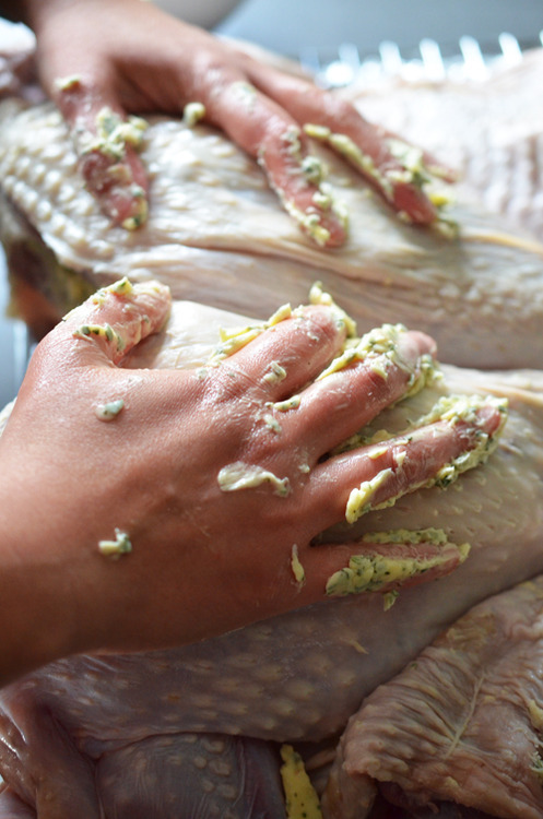 Using two hands to rub herb butter on top of the skin of a spatchcock turkey.