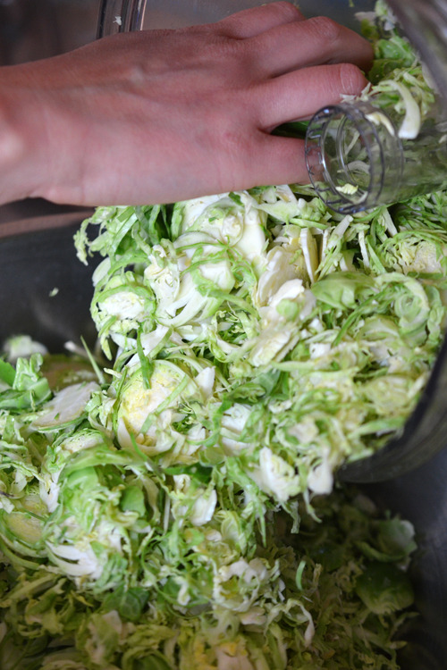 A hand transferring shredded Brussels Sprouts from a food processor work bowl to a large bowl. 