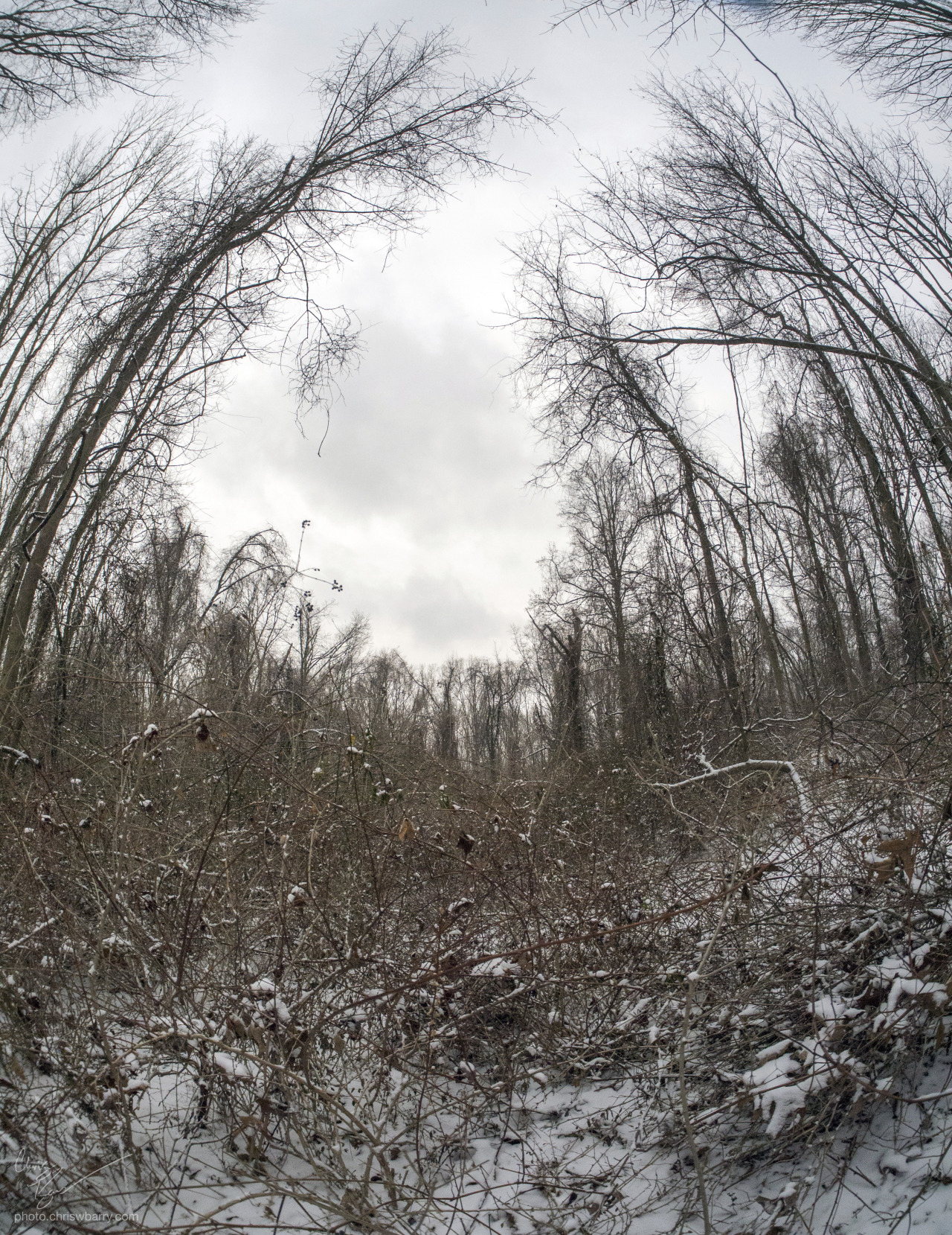 More fisheye because this lens is different and I have no idea how to use it