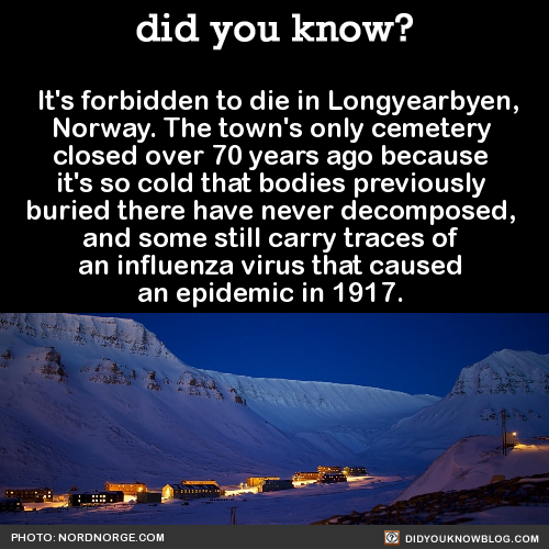 its-forbidden-to-die-in-longyearbyen-norway-the