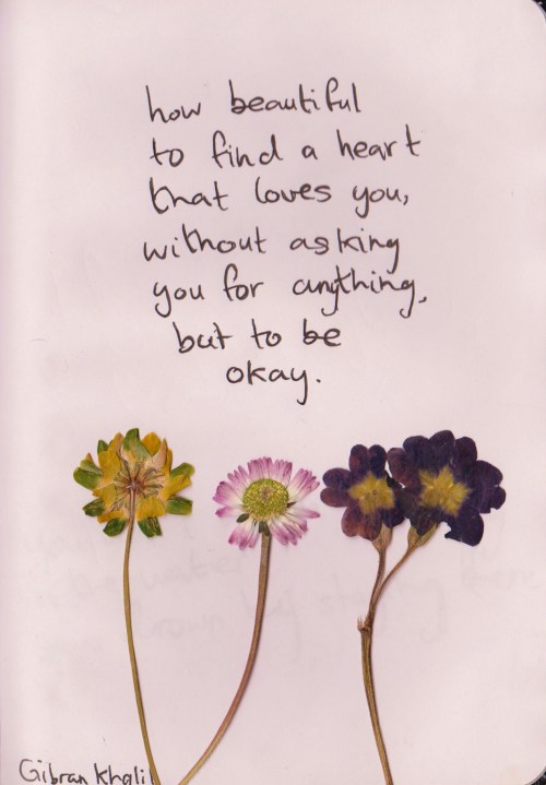 positivity quotes on Tumblr