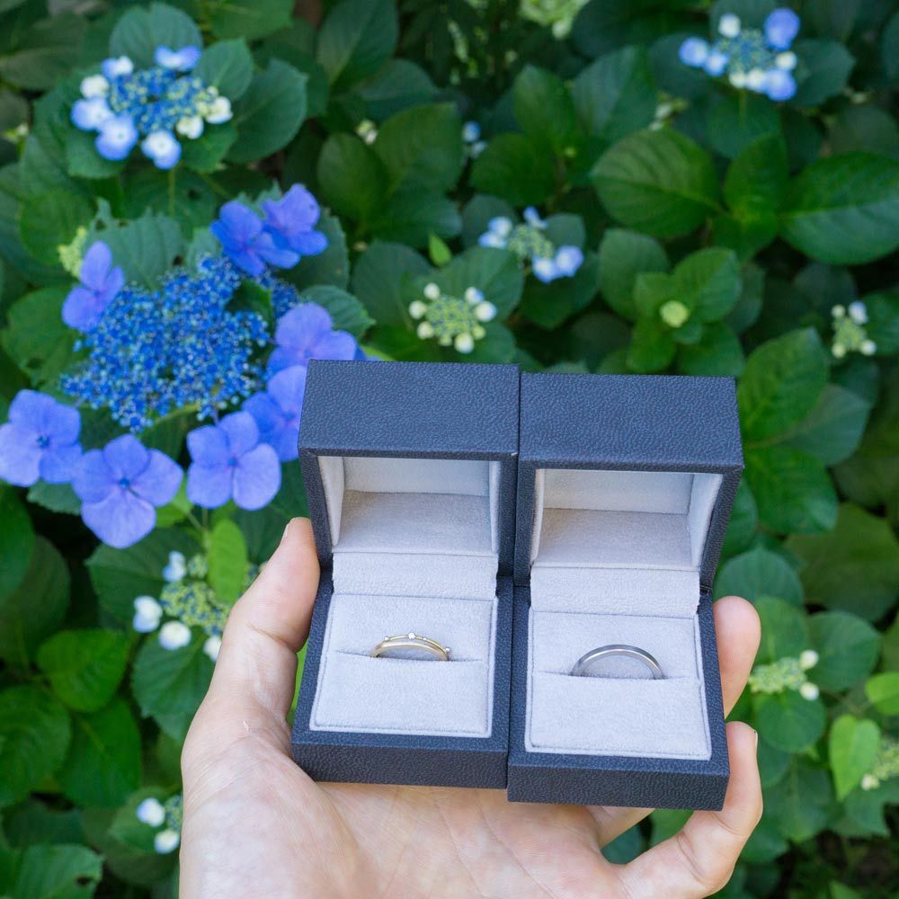 結婚指輪　屋久島の紫陽花バック
