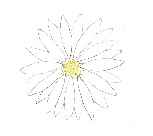 flower drawing on Tumblr