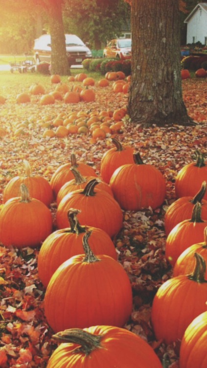 fall backgrounds | Tumblr