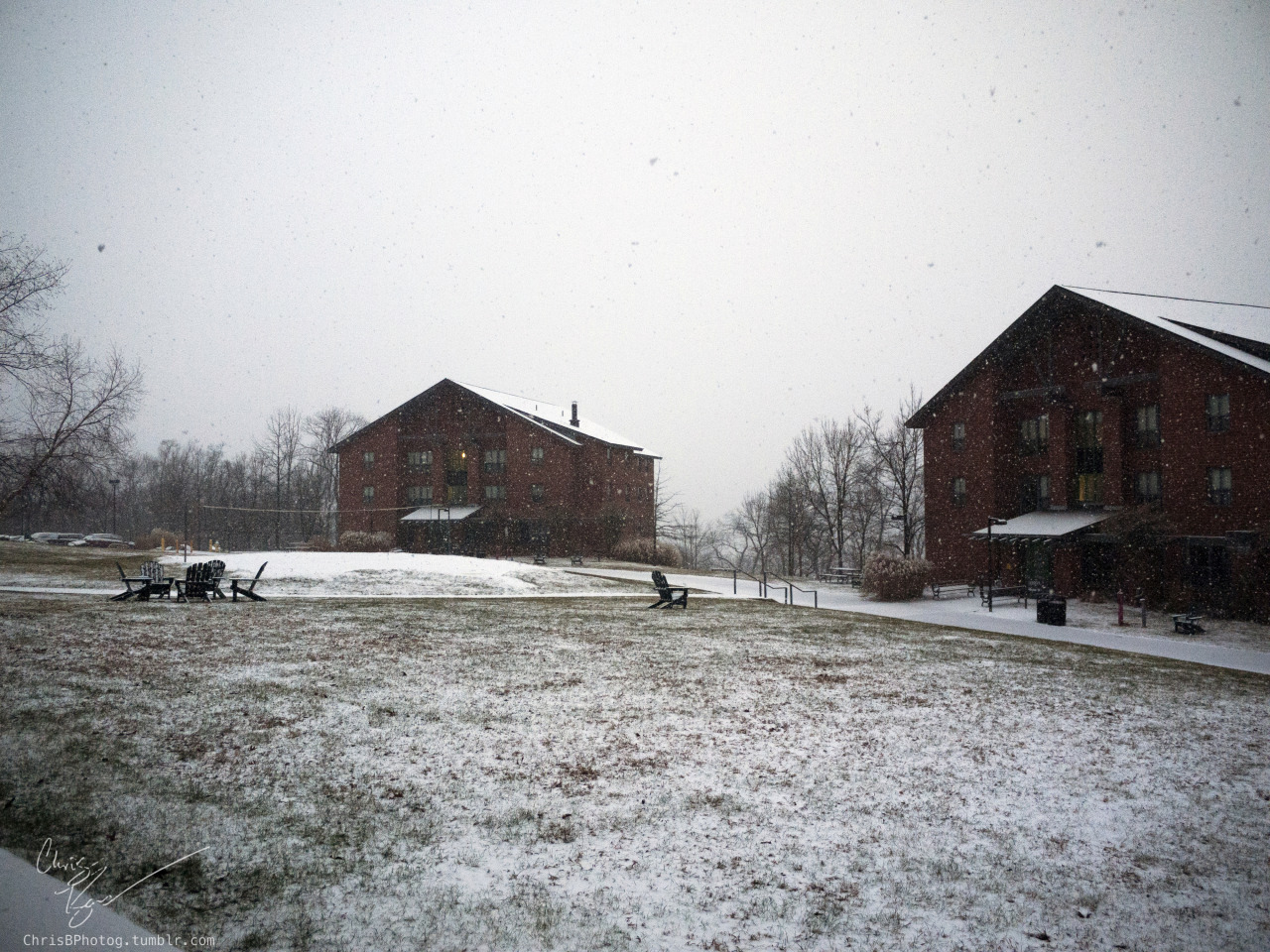 And one more of Sayre. That&rsquo;s all for snow, but I&rsquo;m going to post a few from the concert a few weeks ago for this blog