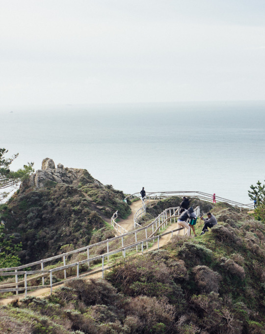 Muir beach lookout, dog friendly hikes in Marin