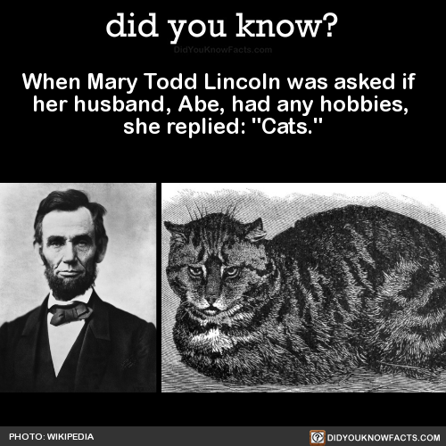 when-mary-todd-lincoln-was-asked-if-her-husband