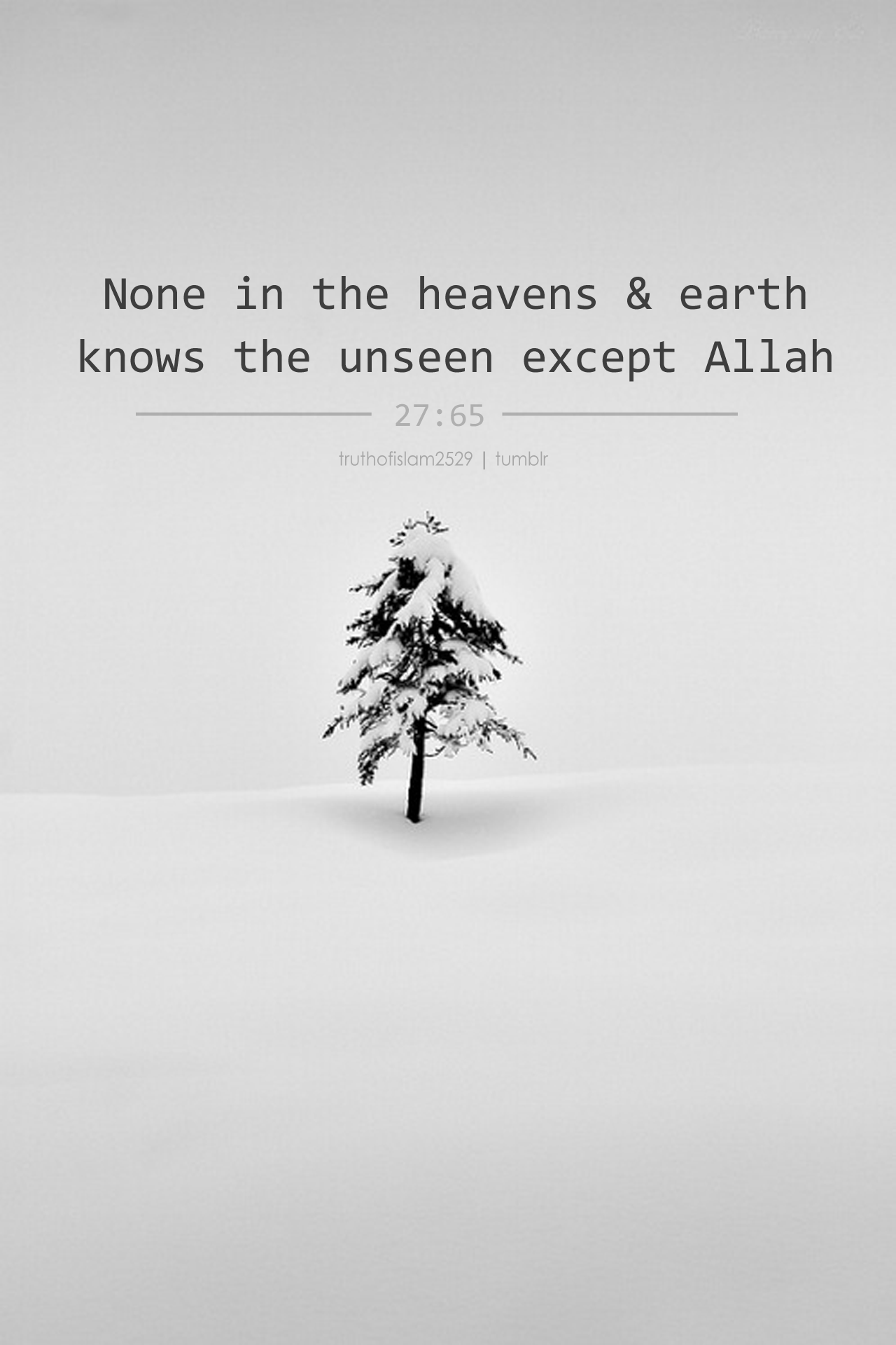 Image result for only  allah knows who heaven