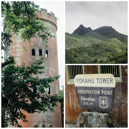 Observation point, Yokahu tower El yunque rainforest