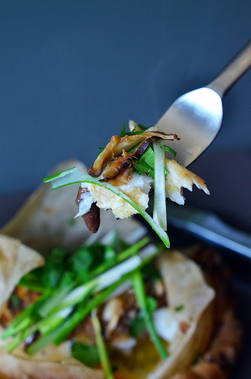A forkful of Fish en Papillote with Citrus, Ginger, & Shiitake 