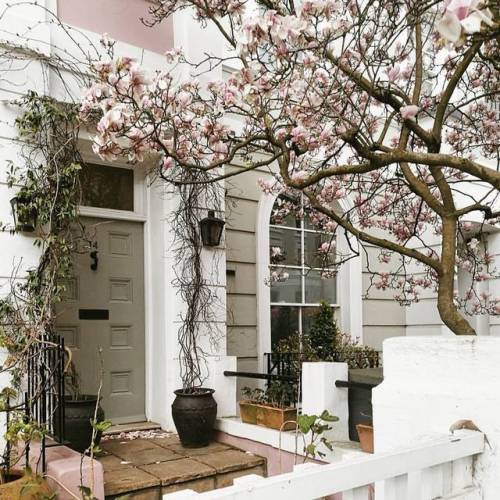 matloboes:
“Good evening, folks! How was your weekend? Today we spent a very lazy morning at home and then we went for a stroll in Primrose Hill, where I found this beauty, followed by a late lunch 🌸 Hope you’re enjoying your evening and getting some...