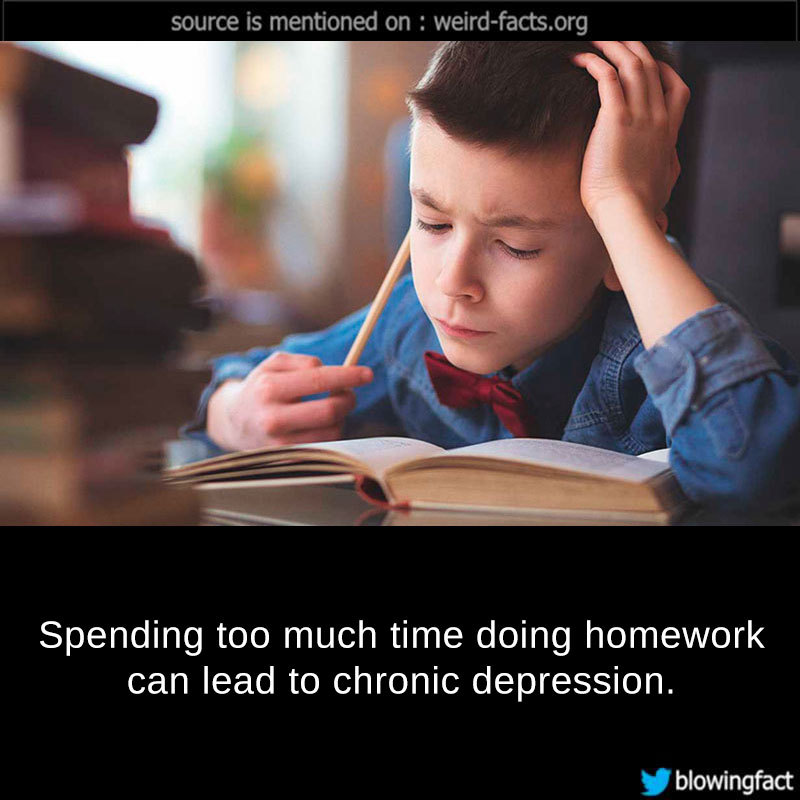 facts about doing homework