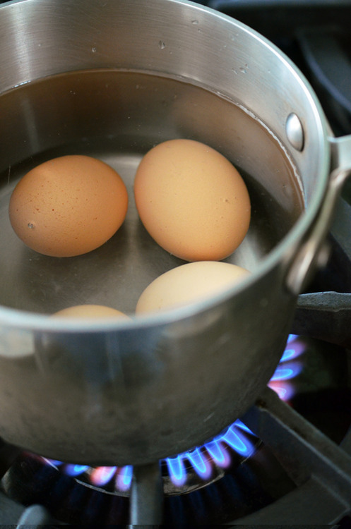 Boiling four eggs in a pot of water.