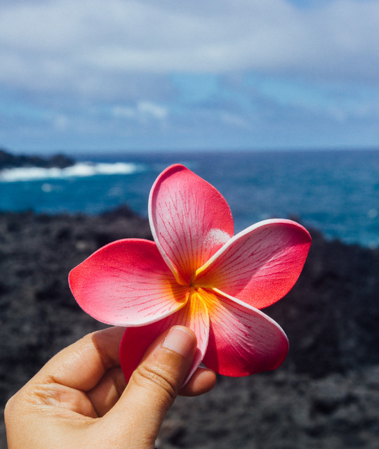 Road to Hana Mile Markers is the complete Road to Hana guide in Maui , Hawaii. This includes the list of 15 must see Road to Hana stops and suggestions on an awesome budget Hana hotel. Pin this Road to Hana itinerary to your Hawaii, USA board now! #hawaii #roadtohana #roadtrip