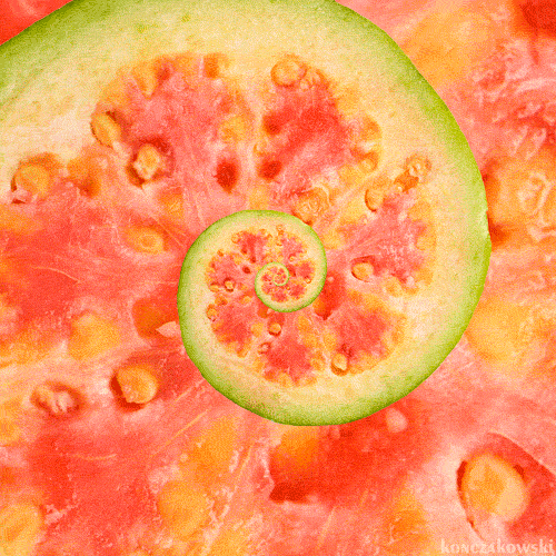 guava on Tumblr